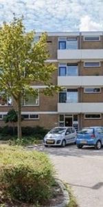 Cederstraat, 2404 Alphen aan den Rijn, Nederland - Foto 4