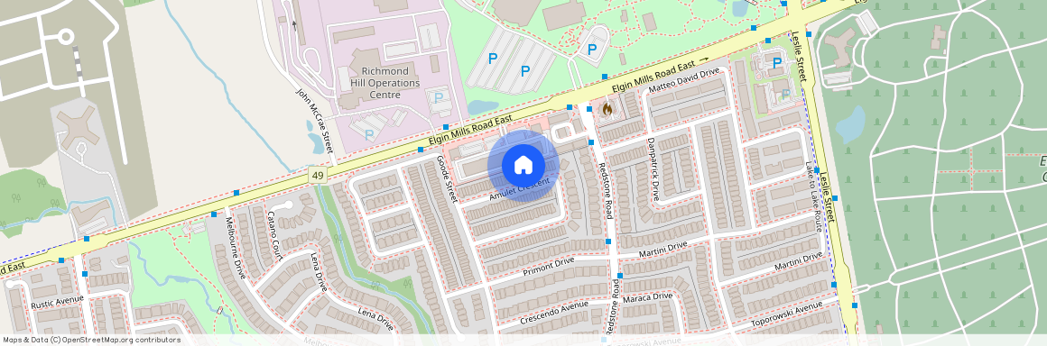 119 Amulet Crescent, Richmond Hill