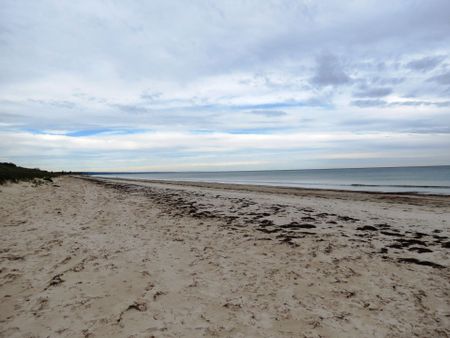 Beachfront Living at Its Best - Photo 3