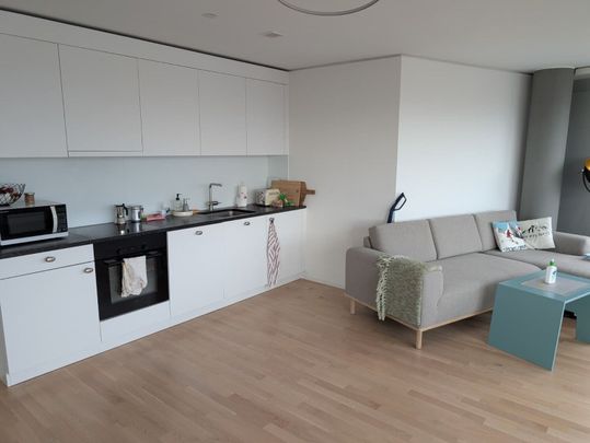 3-ROOM APARTMENT IN OSTERMUNDIGEN (BE), FURNISHED, TEMPORARY - Photo 1