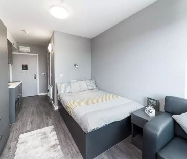 Silver Studio - Photo 6