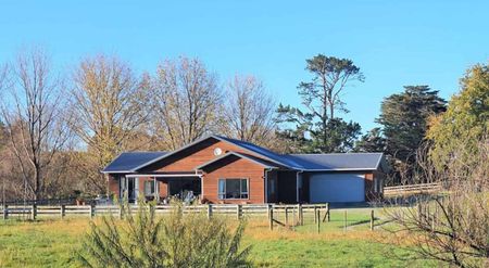 Country home minutes from Matakana Village - Photo 5