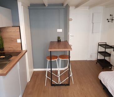 Location Appartement 1 pièce 14m² GRENOBLE 38000 - Photo 2