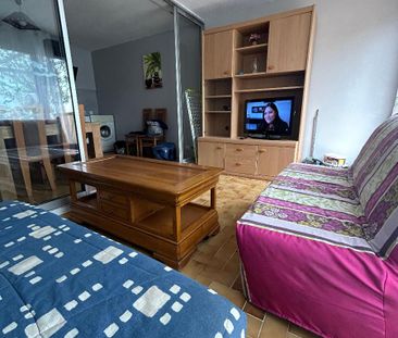 Appartement 2 pièces à louer à SAINT-CYPRIEN - Photo 4