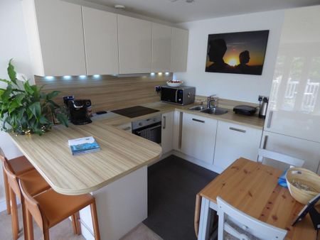 1 bedroom flat to rent - Photo 4