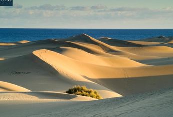 San Bartolome de Tirajana, Canary Islands 35100