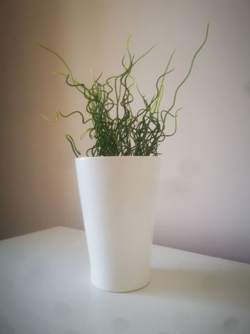 Pelham road Room 1 - Photo 5