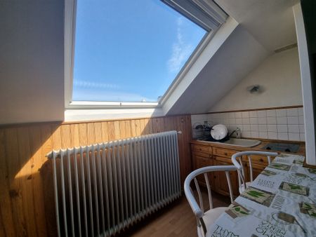 Location Appartement 1 pièce 30m² OLIVET 45160 - Photo 3