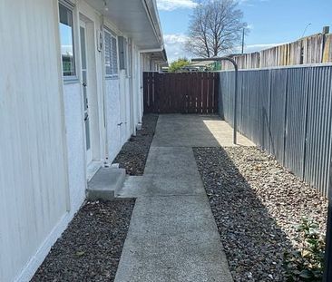 Large 3BR Unit in Palmerston North - Photo 6