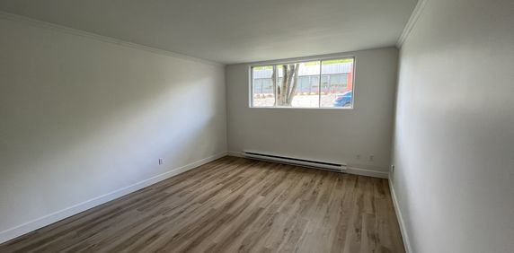 3½ RÉNOVÉ – Disponible 1er Juillet – 200 - Photo 2