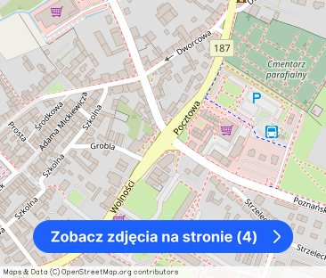 Dom dla firm, otulony lasem! Osieczek – zdjęcie 1