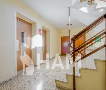 Habitación - Madrid - Alameda de Osuna - 495€ MES - Ref. RYN-HAG112 - Photo 3