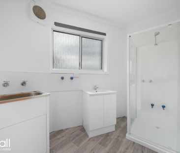 Freshly Painted 3-Bedroom Ground Floor Apartment - Quiet Rosetta Lo... - Photo 2