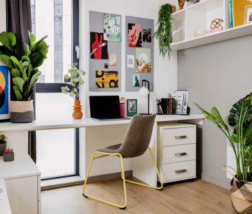 Extra Large Studio - Photo 5