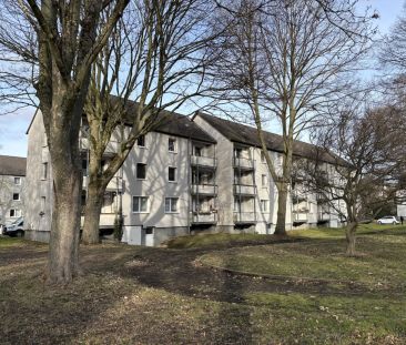 Zur Nieden 23, 45326 Essen - Photo 2