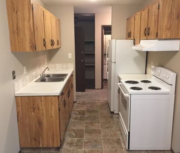 NO STAIRS!! Spacious Well Maintained Building 2 Bed, 1 Bath - Photo 6