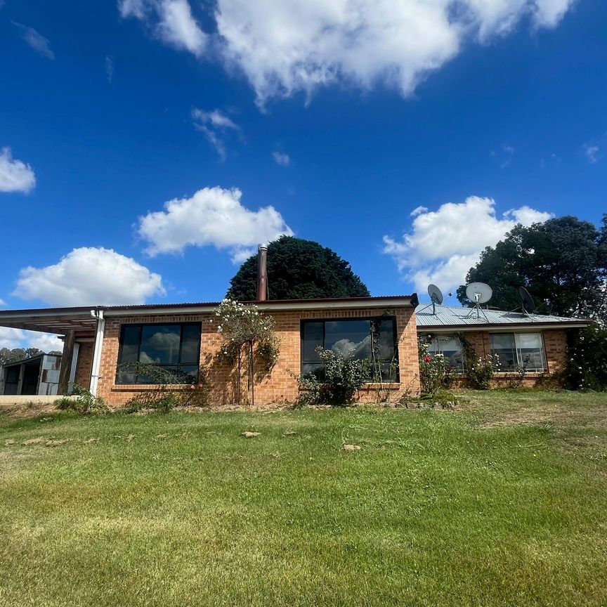 1233 Edith Road - Photo 1