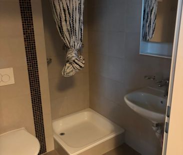 Location appartement Crissier - Foto 4