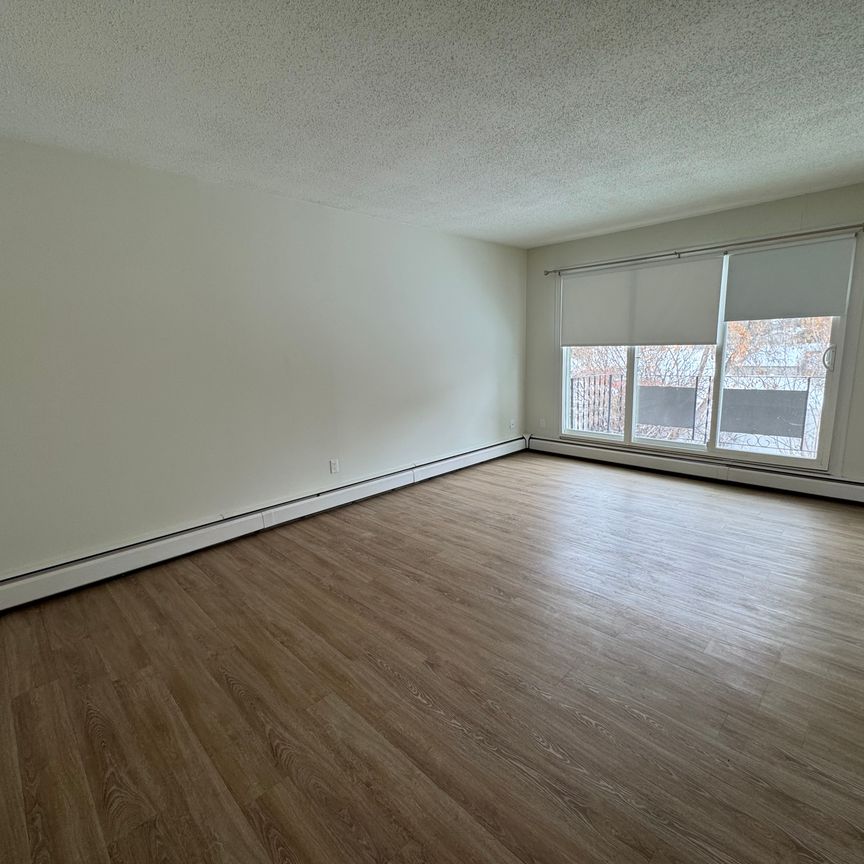 Free A/C unit, Free Rent, 2 Bed with in Suite Laundry! | Pet Friendly! - Photo 1