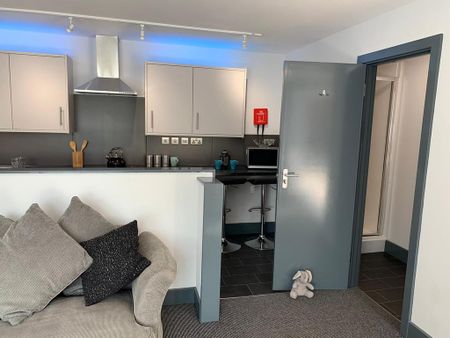 1 bedroom private hall to rent - Photo 4