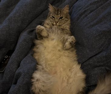 High Wycombe - Photo 5