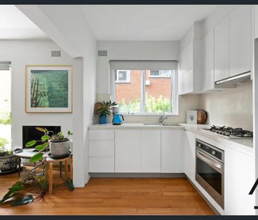 1/5 Isabel Avenue, Vaucluse, NSW 2030 - Photo 3