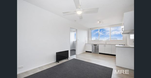 Light filled chic living in excellent locale - Photo 1