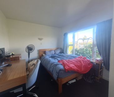 36 Euston Street, Riccarton - Photo 4