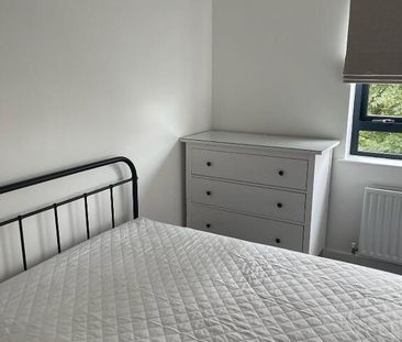 216 Belmont Road, Belfast, BT4 2AT - Photo 5