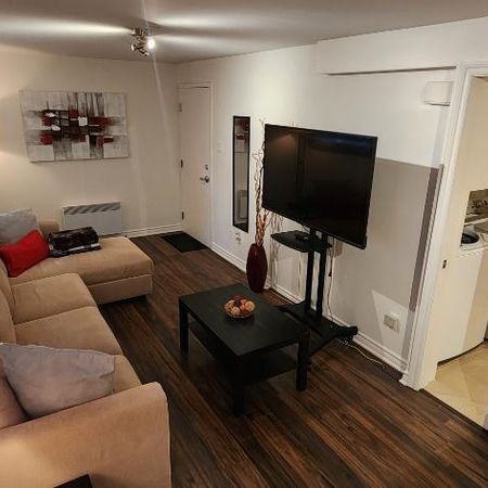 ROSEMONT - Prêt MAINTENANT - Neuf 3 1/2 – BACHELOR - TOUT meublé - Photo 3