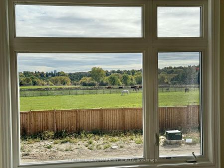 For Lease - 163 Berczy Green Drive, Markham, Ontario - Photo 3