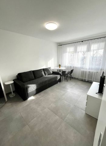 mieszkanie na wynajem Szczecin Centrum - Photo 3