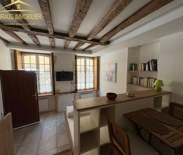 Location Appartement 1 pièce 20m² CHARLIEU 42190 - Photo 3