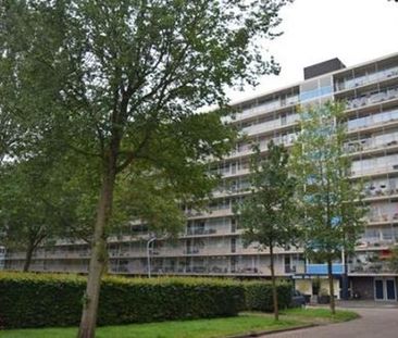 Engelandlaan 2034 Haarlem - Photo 6