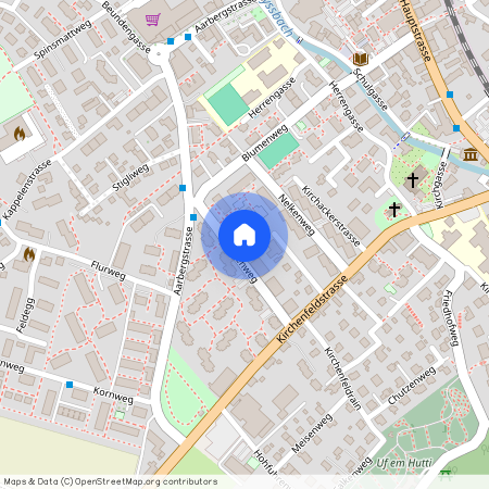 3250, Lyss, Tulpenweg, 15