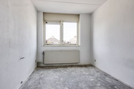 Te huur: Zirkoon 87 - Photo 4