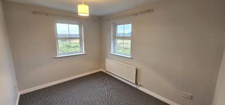 27 Henryville Meadows, Ballyclare, BT39 9FY - Photo 4