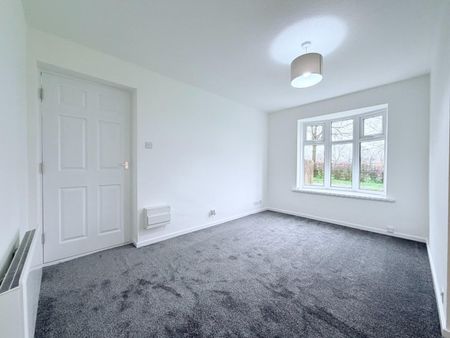 1 bedroom House To Let - Photo 3