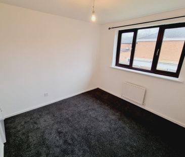 Beaks Farm Gardens - Photo 4