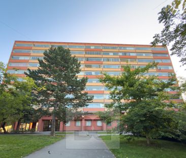 Apartment for rent, 1+1 - Studio, 32m - Photo 1