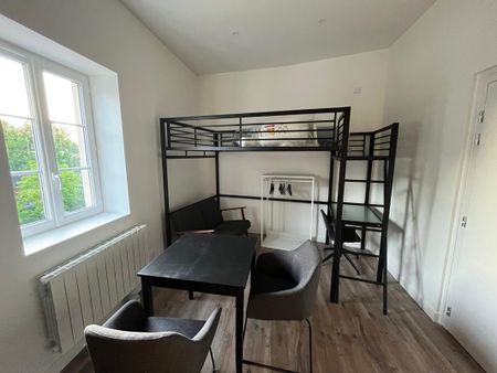 Location Appartement 1 pièce Meublé 16m² CALUIRE ET CUIRE 69300 - Photo 4