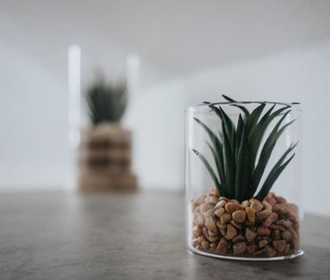 Room in a Shared House, Garmoyle Road, L15 - Photo 1