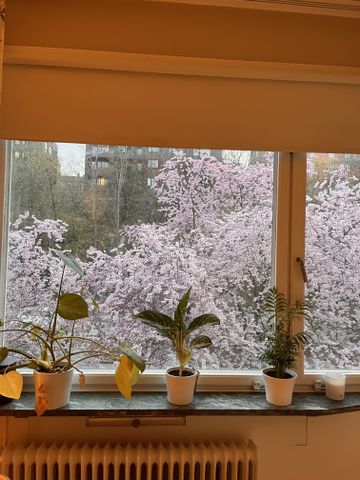 Hägerstensvägen - Photo 4