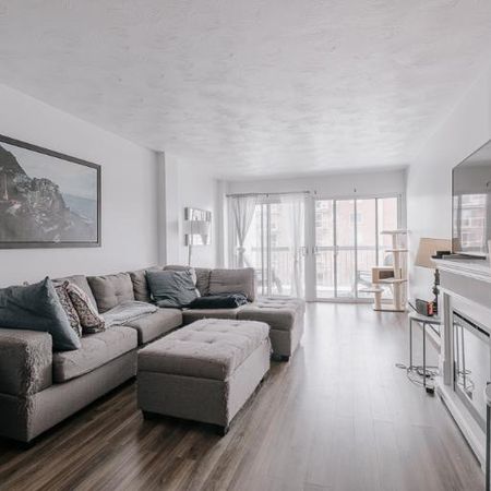 Appartement 4 ½ à louer Sainte-Foy / Sillery juillet 2026 - Photo 3