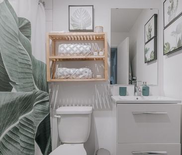 Appartement 3 ½ à louer Sainte-Foy / Sillery juillet 2026 - Photo 1