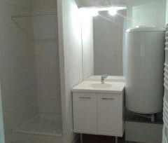 Location Appartement 1 pièce 36m² VILLEURBANNE 69100 - Photo 4