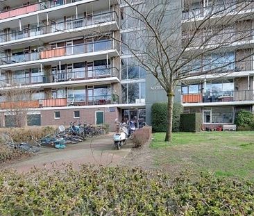 Matenalaan 0ong, 6825 DG Arnhem, Nederland - Foto 1