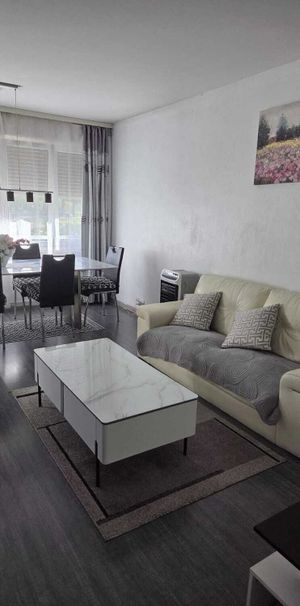 3½-ROOM APARTMENT IN GRAND-LANCY (GE), FURNISHED, TEMPORARY RENTAL - Foto 1