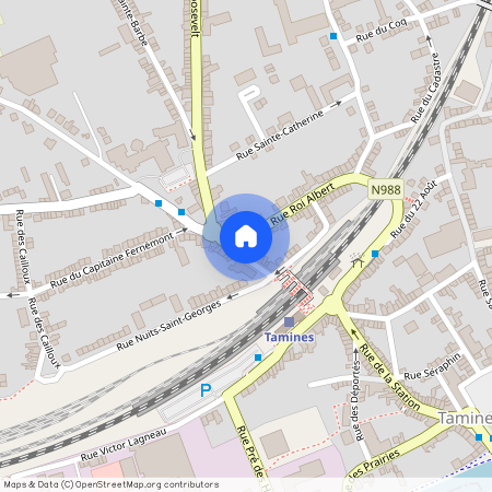 Rue Roi Albert, 41, 1, 5060, Sambreville