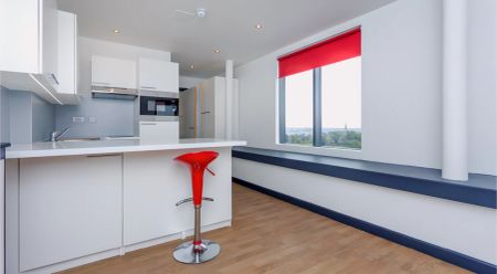 Studio Penthouse - Photo 3